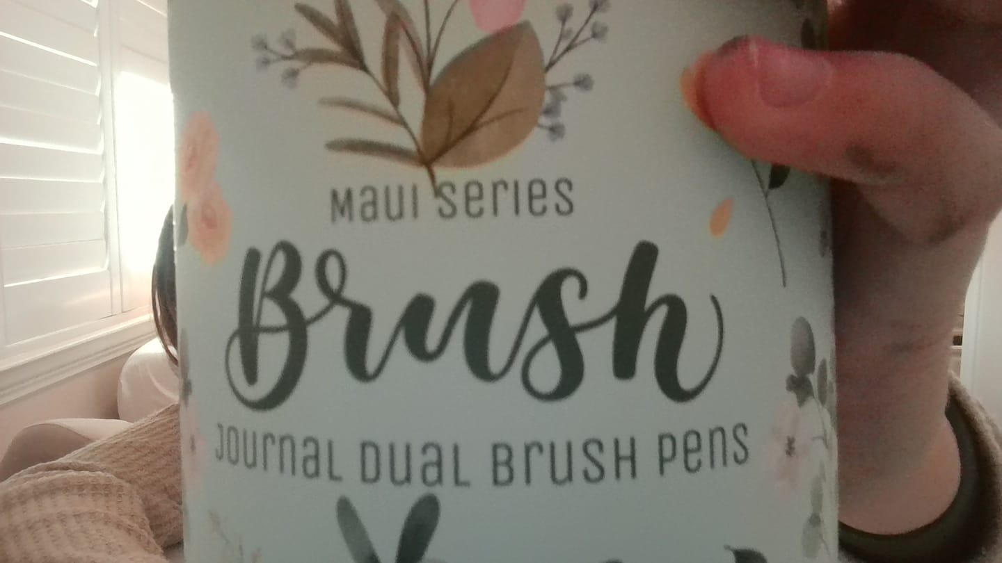 Customer photo review of Ohuhu Maui 60 Colors Dual Tips Water Based Art Markers, Brush & Fineliner