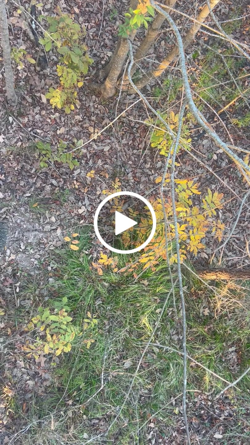 Customer video review of V2 DOUBLE