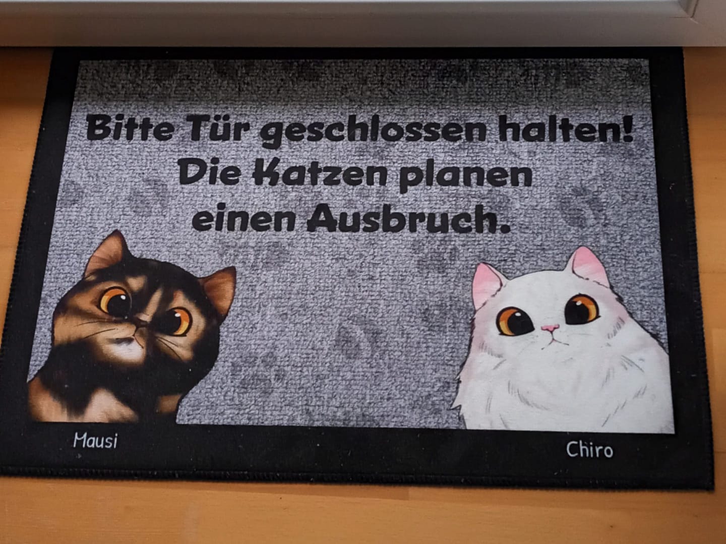 Customer photo review of Katzen planen einen Ausbruch - Individuelle Fußmatte