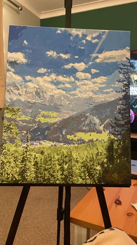 Customer photo review of Custom Paint by Numbers Kit