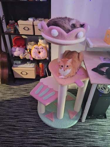 Customer photo review of Ice Cream -Styled Cat Tree with Jumping Platforms & Top Bed