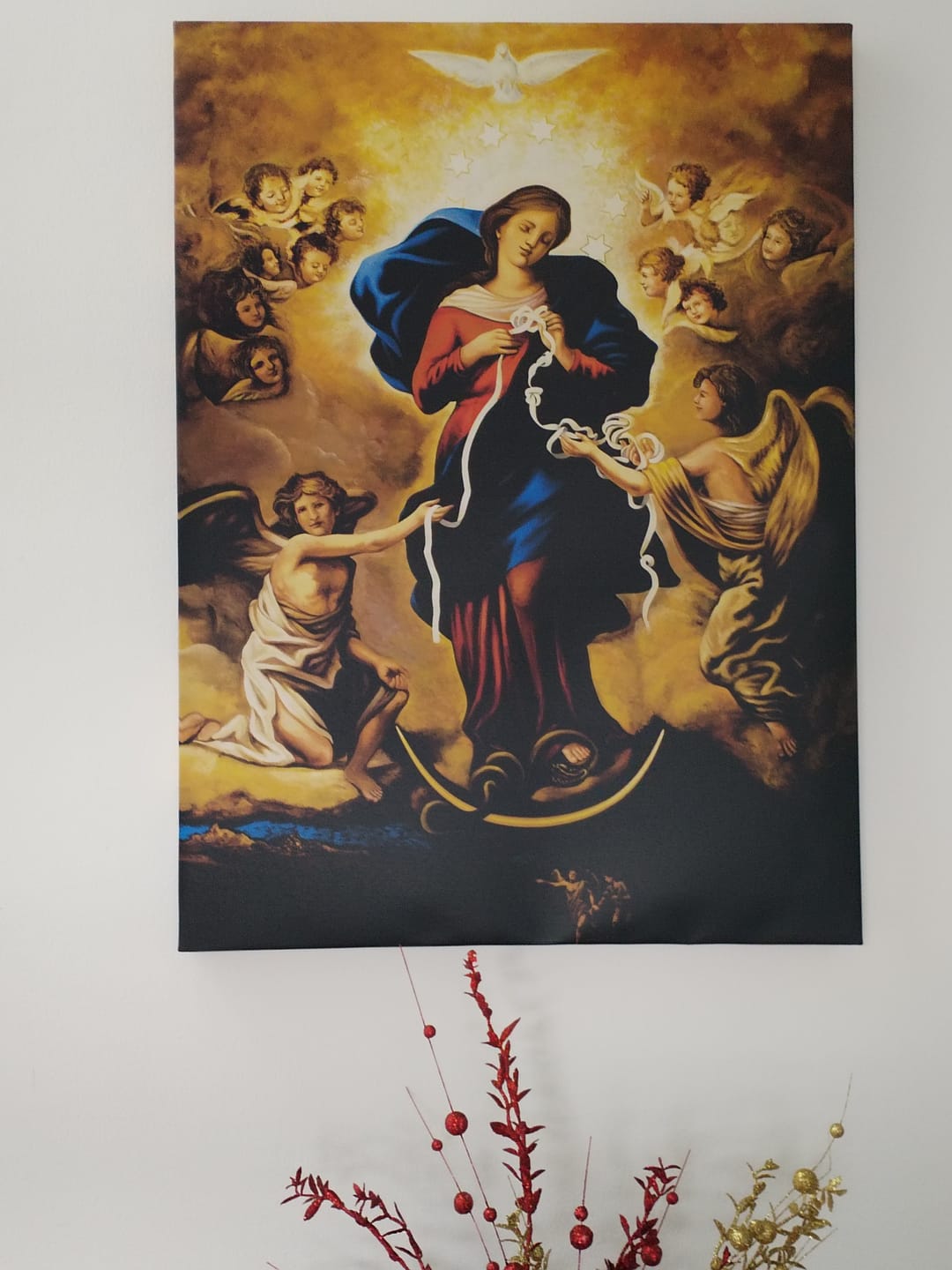 Customer photo review of Virgen Desatanudos