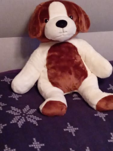 Customer photo review of Lotgenootje Hond 2kg