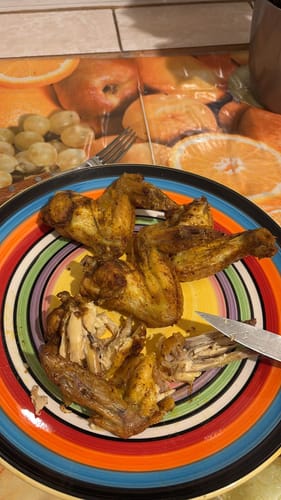 Customer photo review of Air Fryer Novio Grill & Fry
