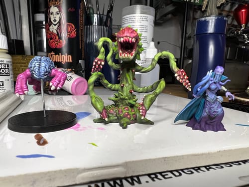 Customer photo review of OG Crate - Fantasy