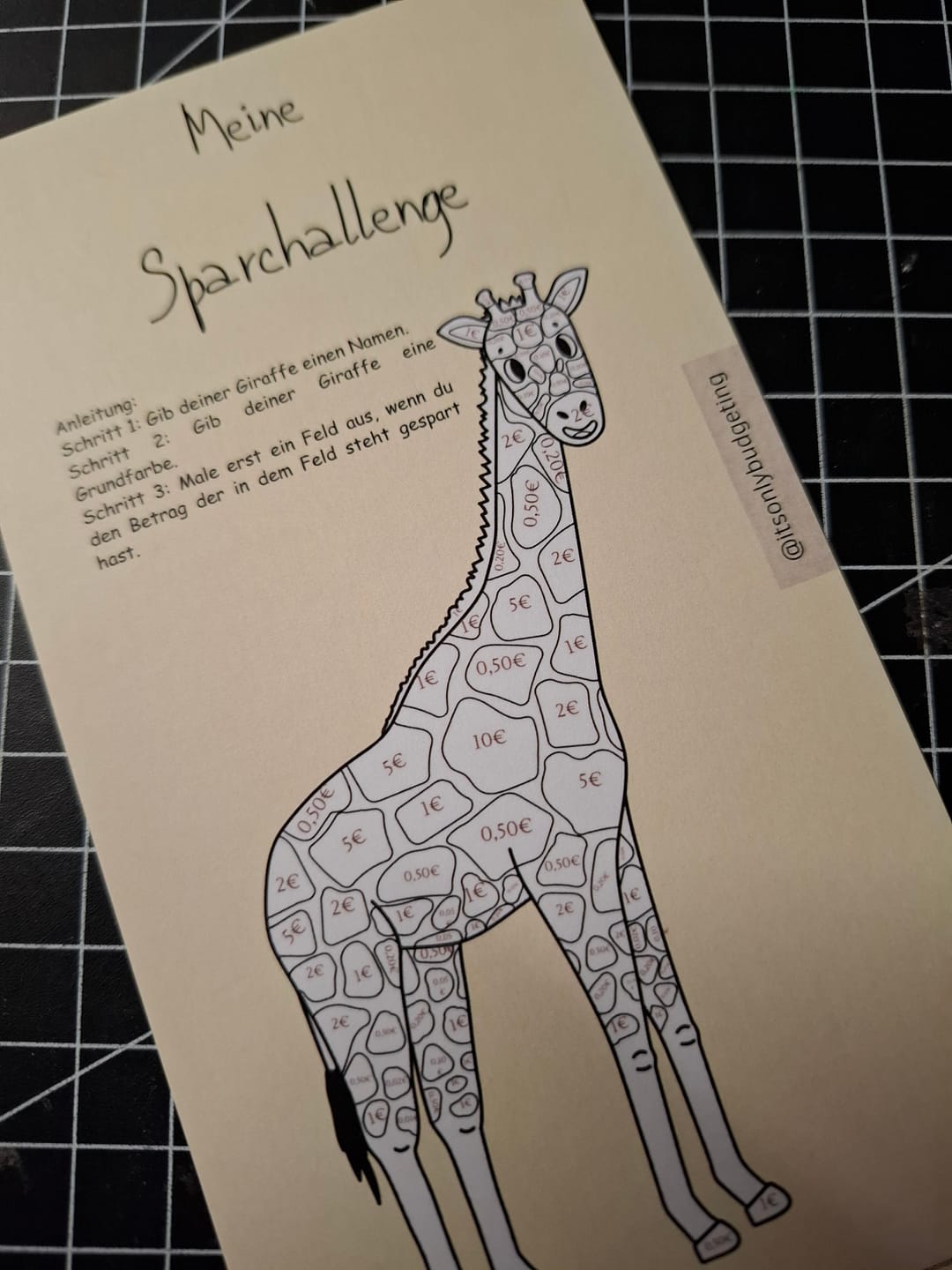 Customer photo review of Kinder Sparchallenge A6