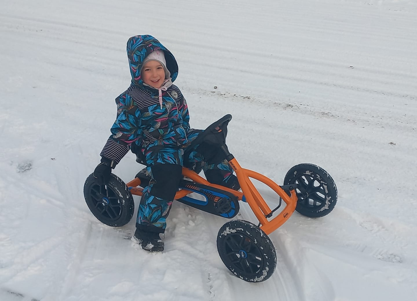 Customer photo review of BERG Buddy