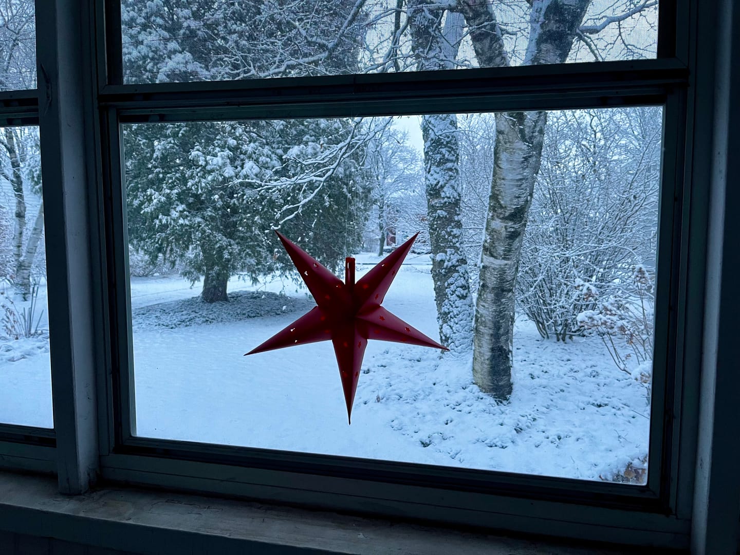 Customer photo review of BLOWOUT 12" Red Weatherproof Star Lantern Lamp, Hanging Decoration