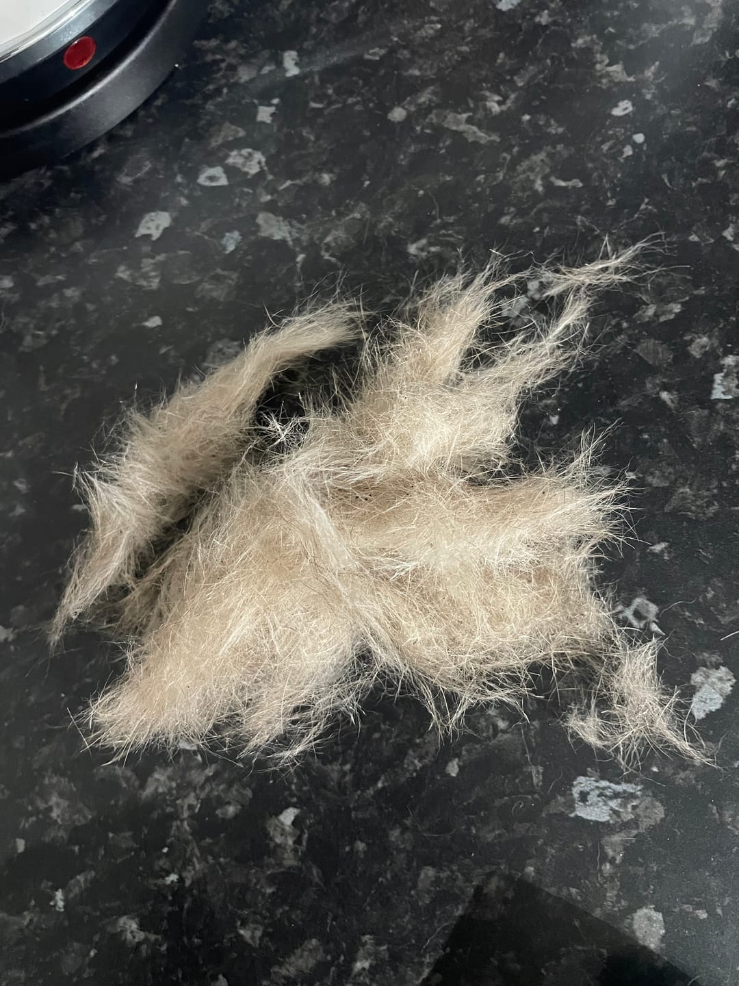 Customer photo review of Dog Deshedding Comb - Dog, Horse & Cat - Black