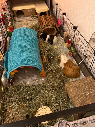 Customer photo review of Meadow Hay Box