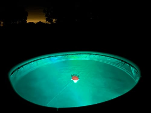 Customer photo review of LED WaterProof Shower Light