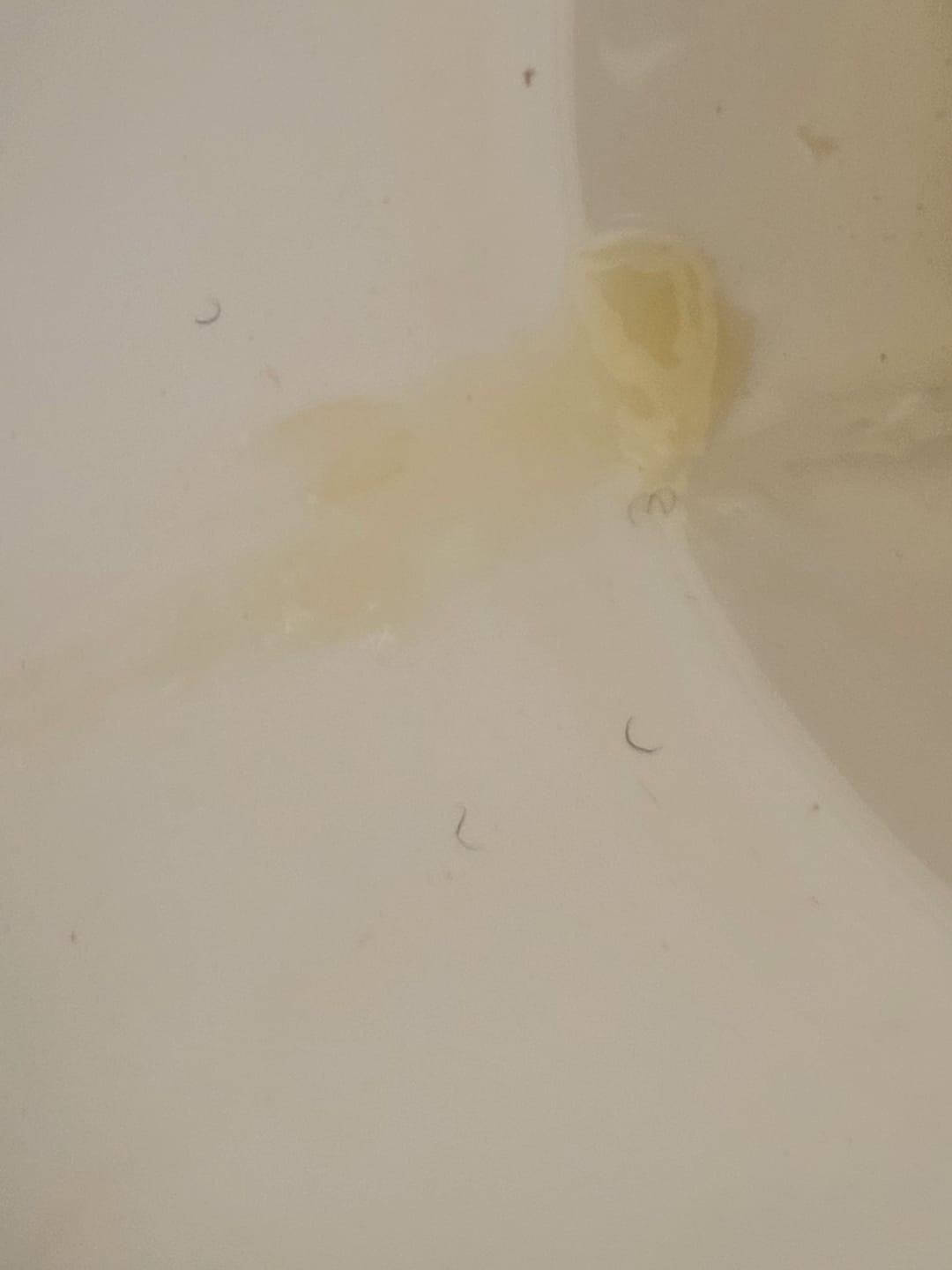 Customer photo review of 7 PARASITE CLEANSE
