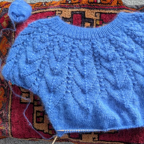 Customer photo review of Mohair Lace