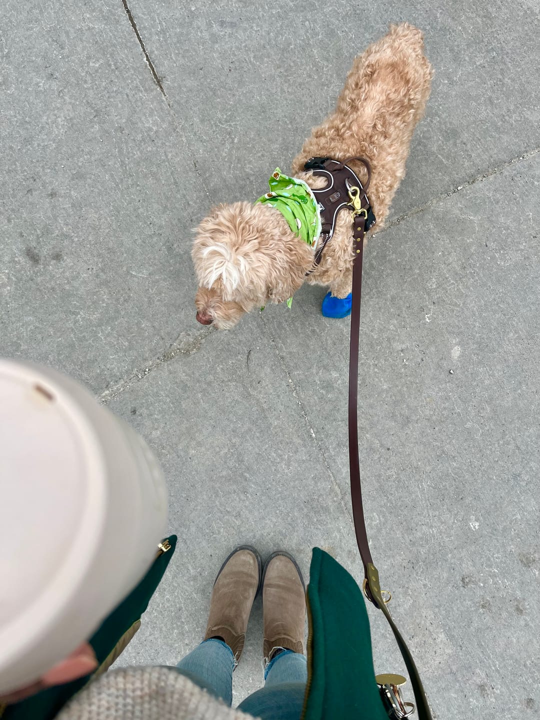 Customer photo review of Hands-Free Leash Adapter