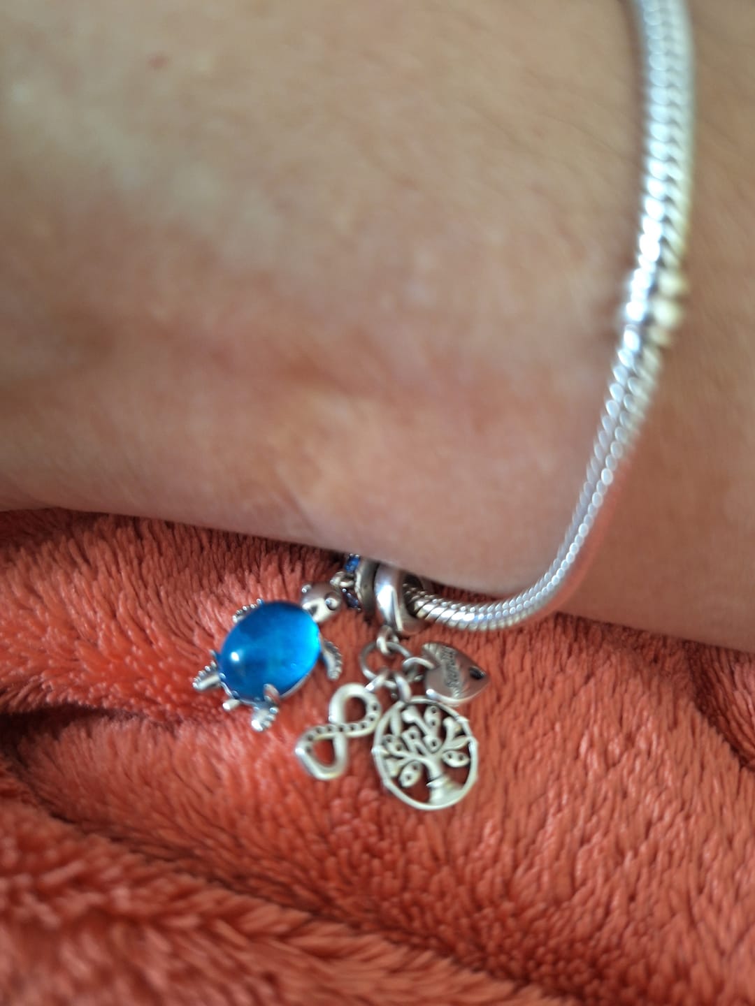 Customer photo review of Charm Tortuga Azul