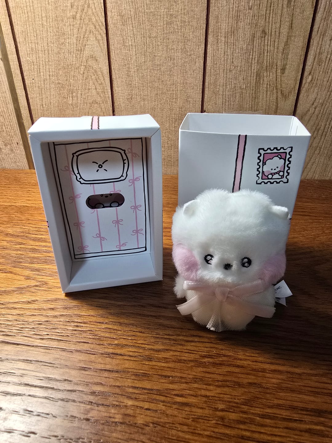 Customer photo review of BT21 - MINI MININI RIBBON EDITION DOLL