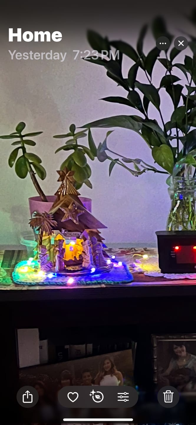 Customer photo review of Olive Wood Nativity Scene with Music Box - (8x6 Inches) - Holy Land Nativity