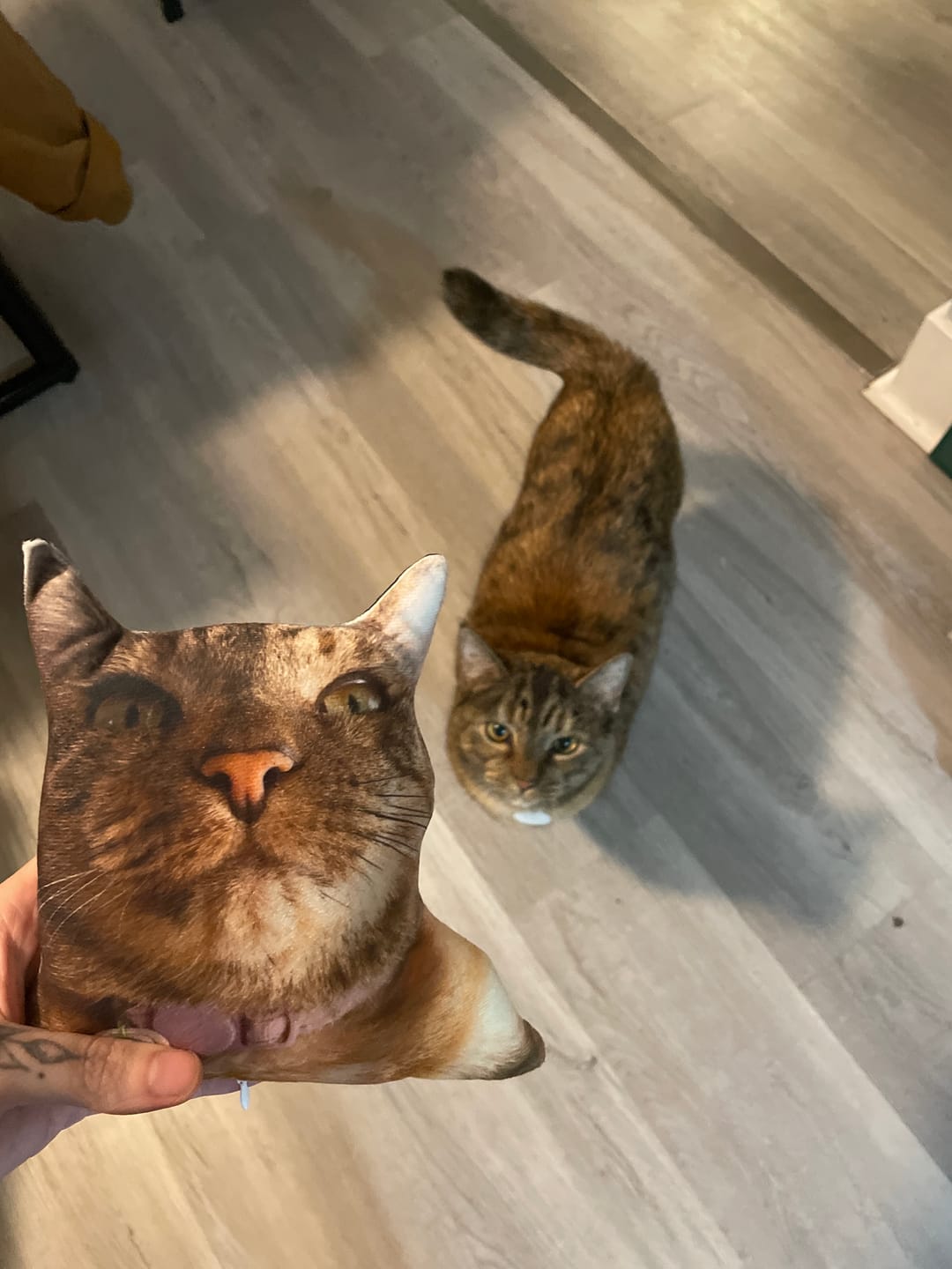 Customer photo review of Custom Pet Pillow
