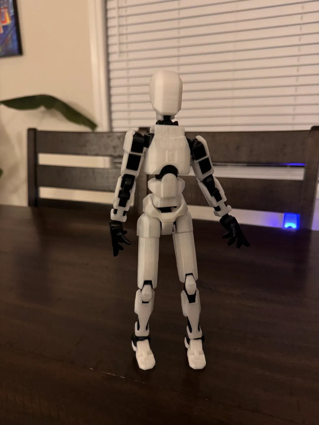 Customer photo review of Dummy 13