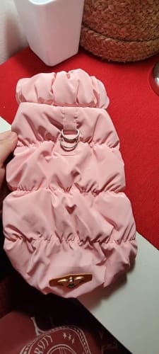 Customer photo review of Soft Warm Dog Clothes Winter Padded Puppy Cat Coat Jacket For Small Medium Dogs Chihuahua French Bulldog Poodle Vest Pet Outfit