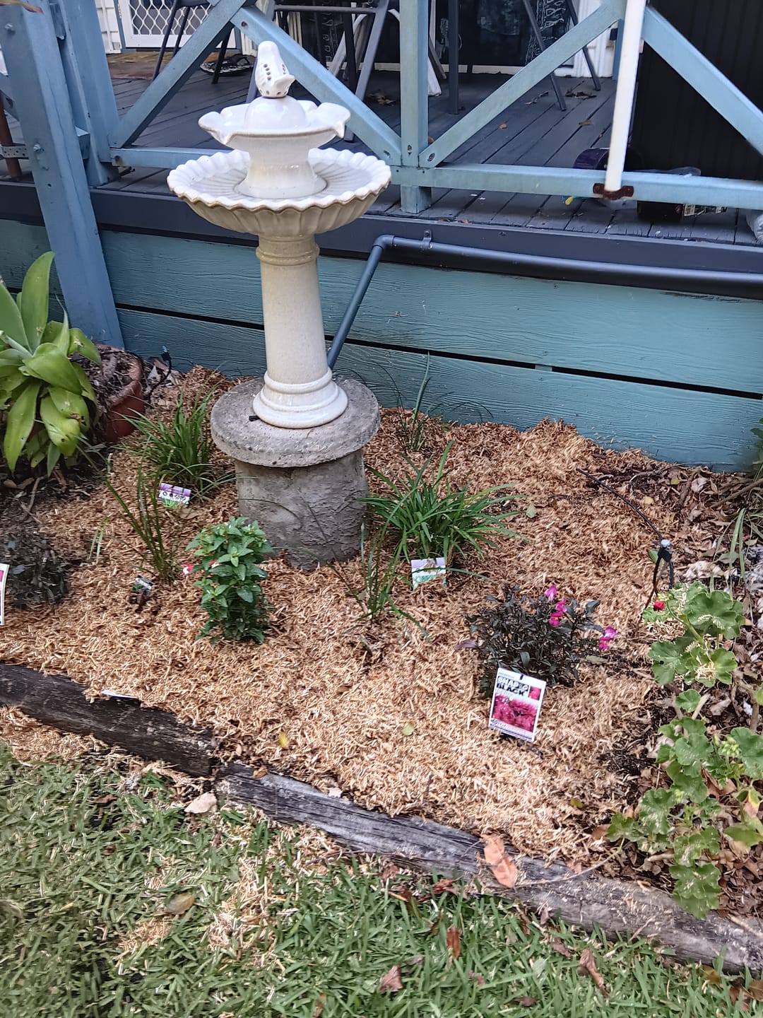 Customer photo review of Maisy Ceramic Bird Bath Fountain - 2 Colours