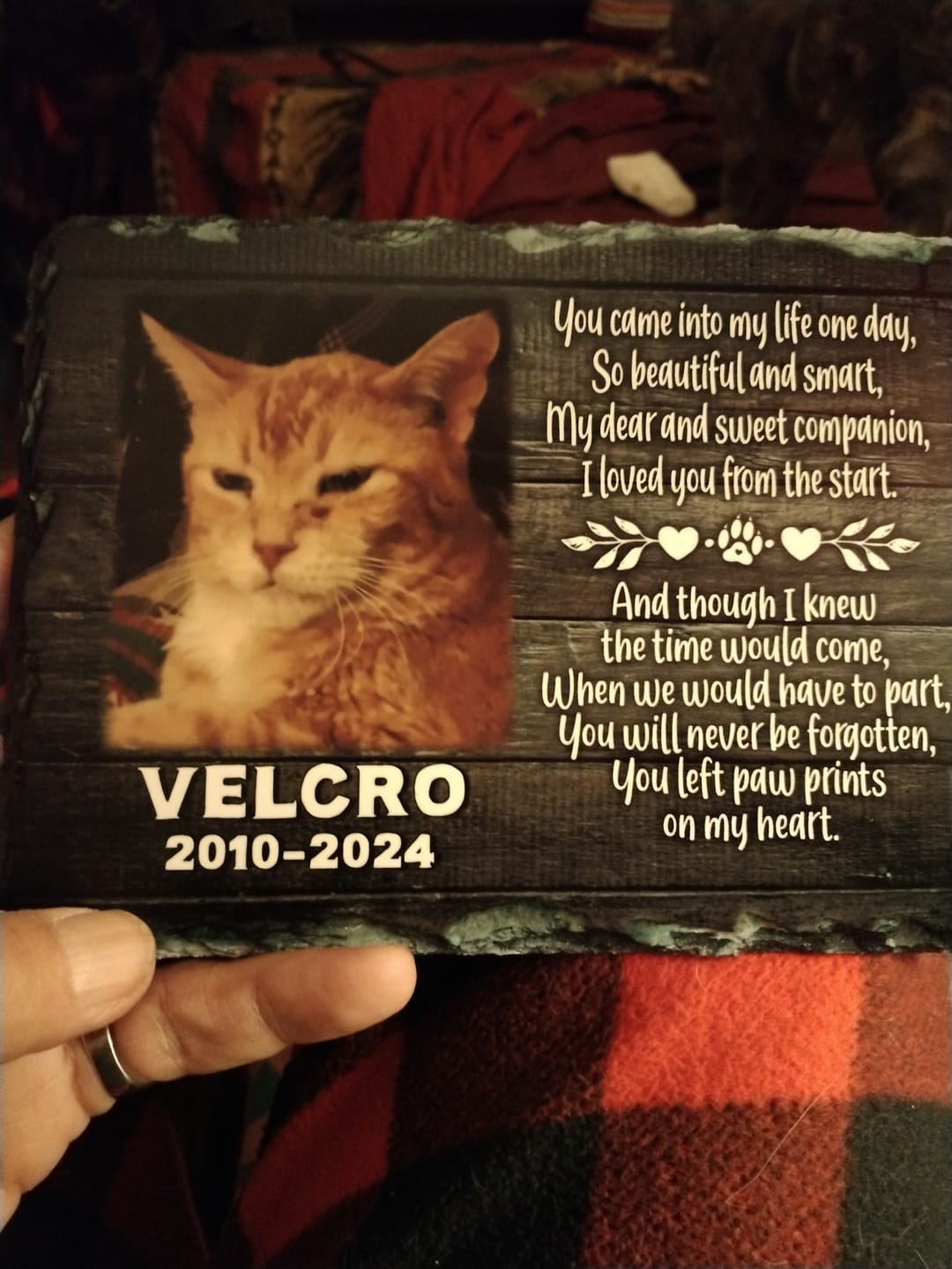 Customer photo review of Loss of pet sympathy gift Personalized Cat Memorial Plaque You left paw prints on my heart