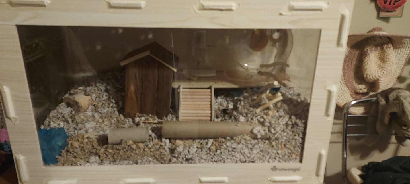Customer photo review of Niteangel Bigger World MDF Terrarium Aspen Poplar Wooden Enclosure for Syrian and Dwarf Hamsters