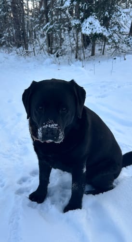 Customer photo review of Daily Multi