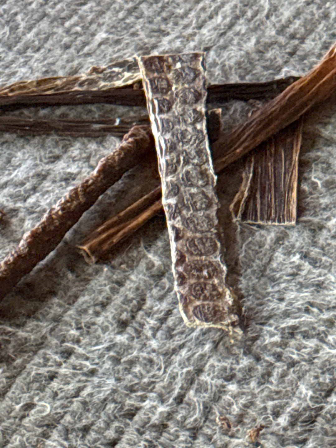 Customer photo review of 12 Inch Beef Jerky Strip