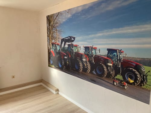 Customer photo review of Fototapete