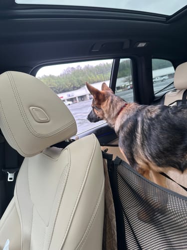 Customer photo review of NEW Waterproof Hard Bottom Car & Truck Seat Foldable Hammock Cover (NOW AVAILABLE!)