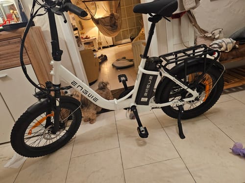 Customer photo review of Engwe L20 SE * 2 E-Bikes Bundle