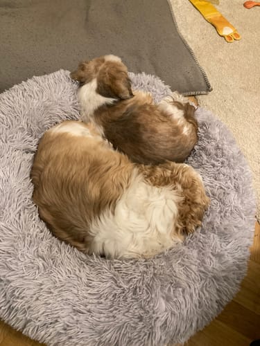 Customer photo review of CalmBed - Motverkar stress & hjälper mot ångest