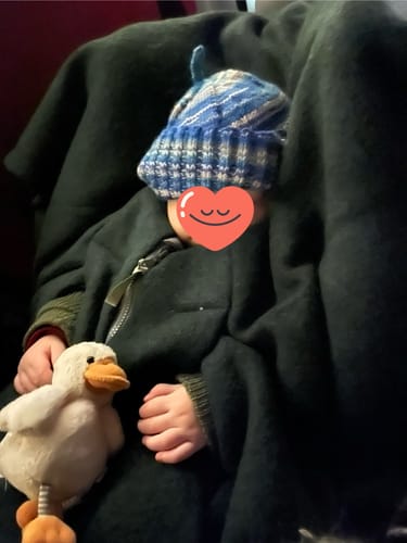 Customer photo review of Kindersitzponcho Wollwalk "Forest"