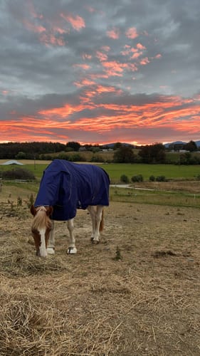 Customer photo review of Amigo Hero 900 Plus Lite 0g