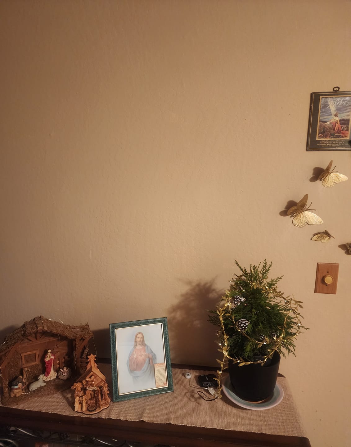 Customer photo review of Olive Wood Nativity Scene with Music Box - (8x6 Inches) - Holy Land Nativity