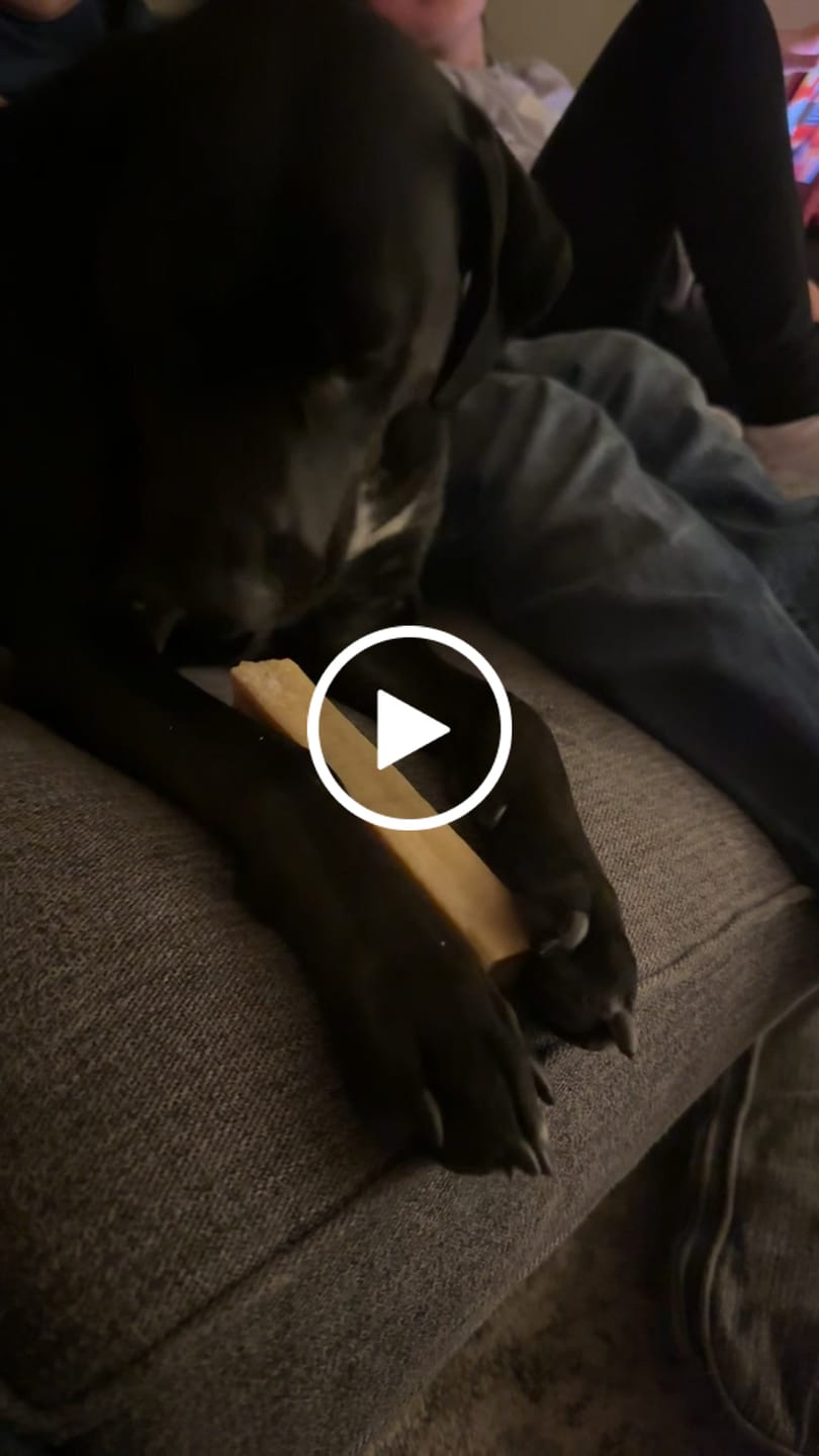 Customer video review of Himalayan Yak Chew (EXTRA LARGE)