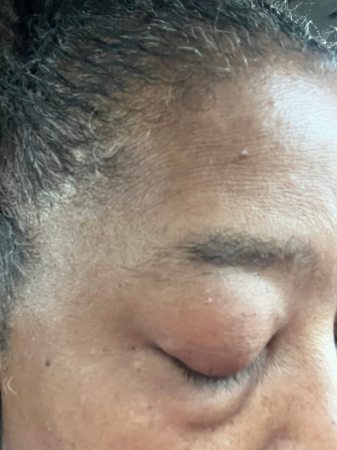 Customer photo review of Tresselix/BROW