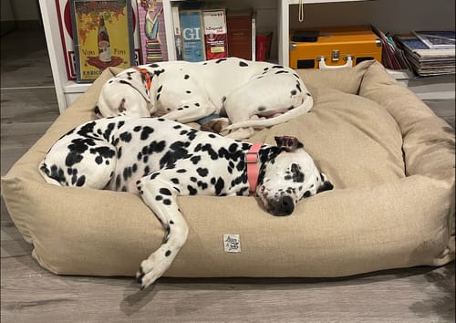 Customer photo review of Divanetto Mattias Beige (Soft Touch)