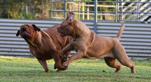 Customer photo review of Zeolite