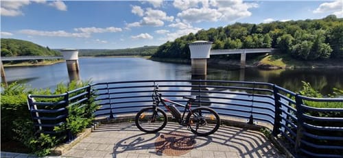 Customer photo review of Electric Mountain Bike M2
