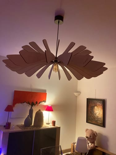 Customer photo review of Aurora | Suspension