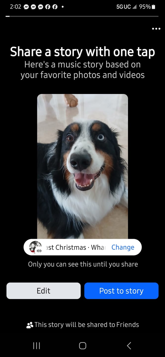 Customer photo review of 12 Inch Jumbo Braided Bully Stick