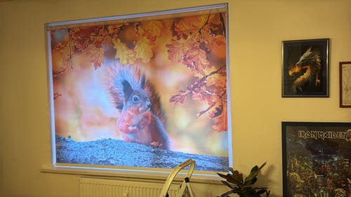 Customer photo review of Foto Rollo "Herbstlicher Wald mit Sonnenschein"