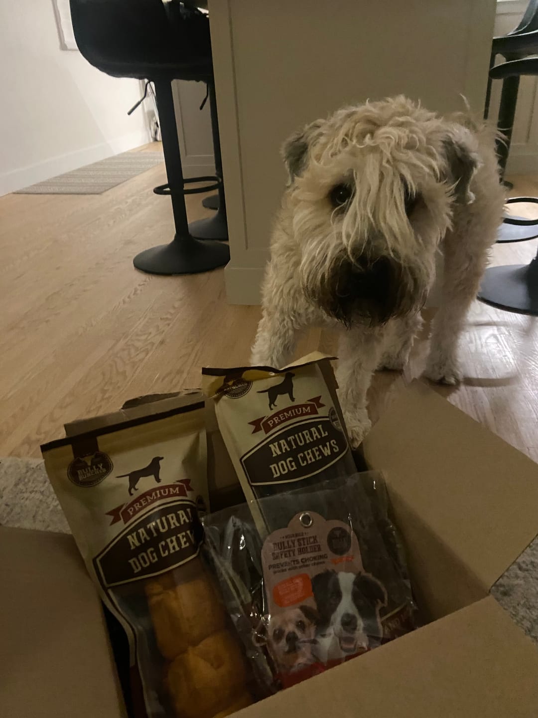 Customer photo review of 12 Inch Beef Jerky Stick