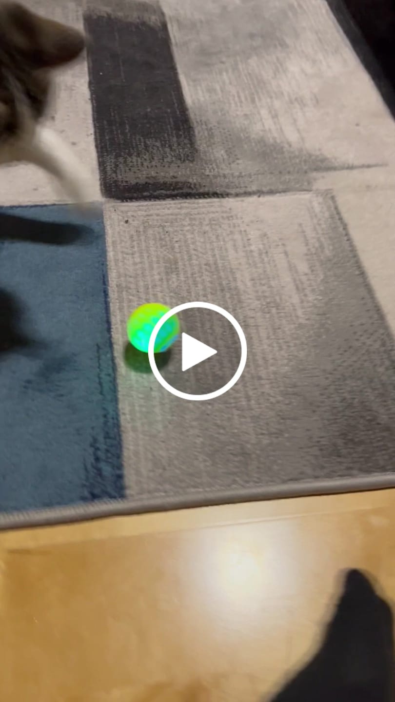 Customer video review of Power Ball 3
