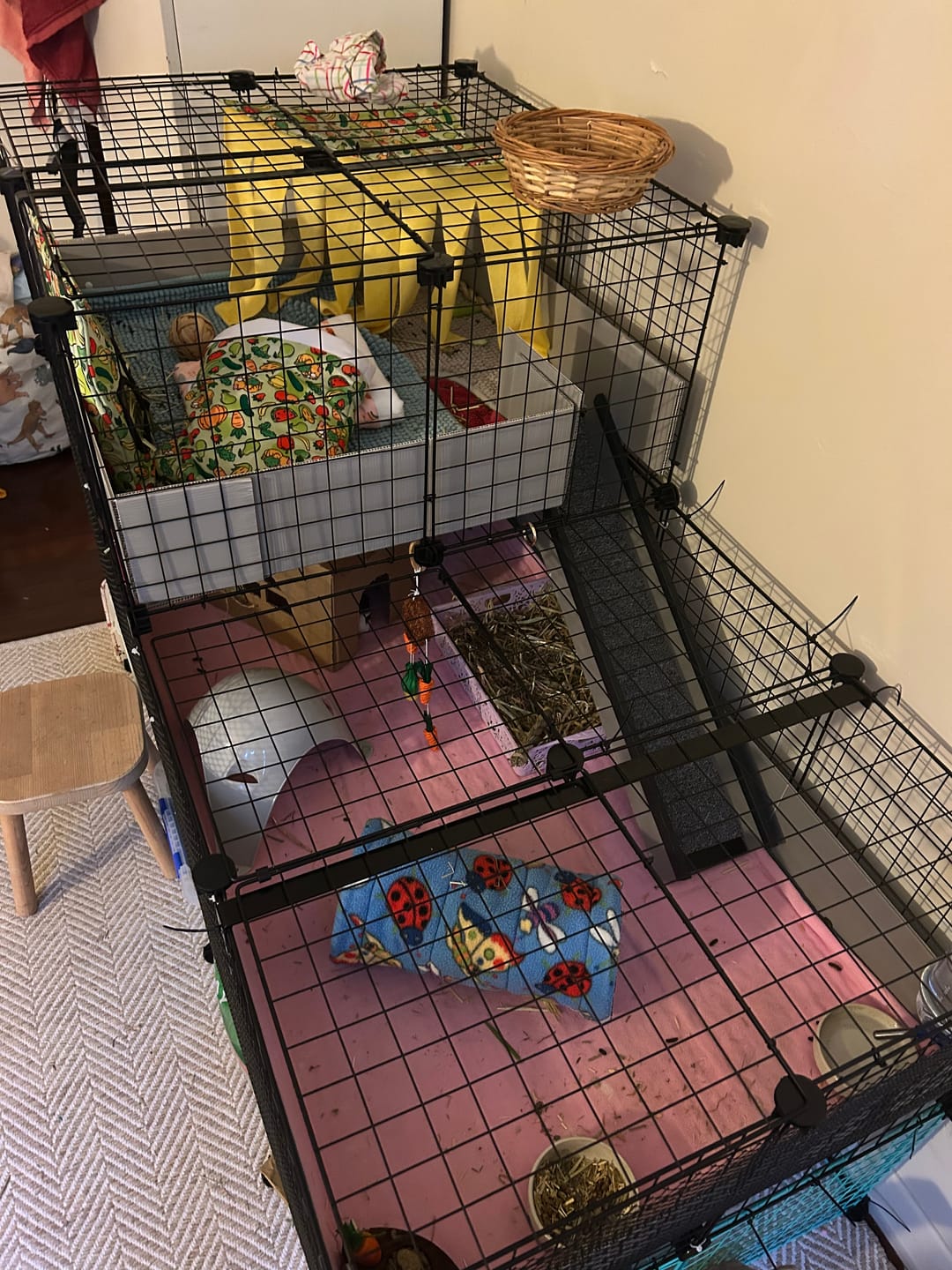 Customer photo review of Loft Combo - 2x2 Wide Loft Add On