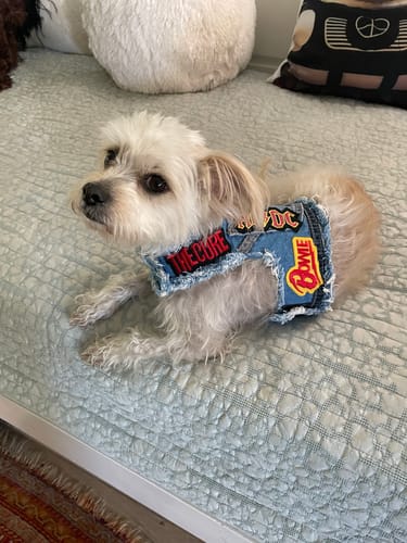 Customer photo review of Rocker Harness 2.0