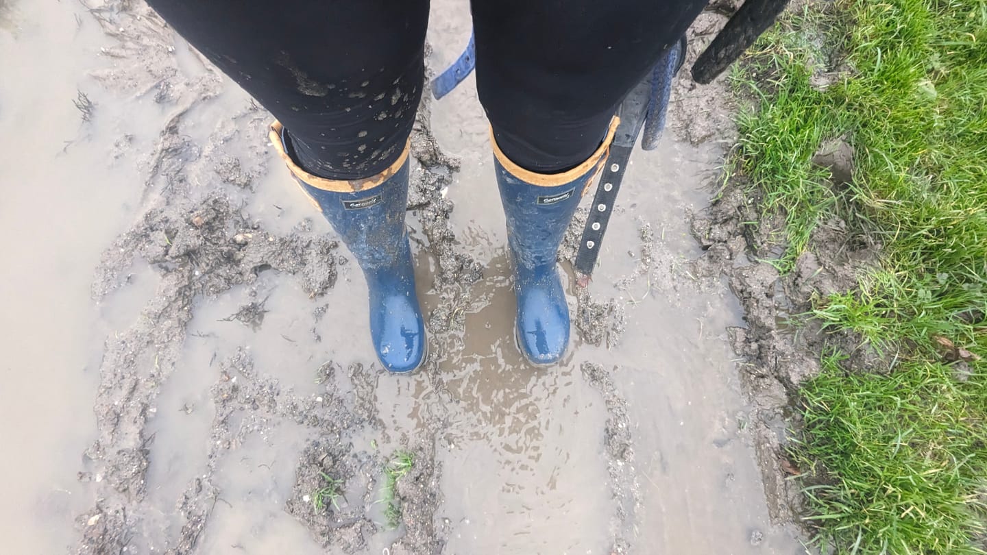 Customer photo review of Stratus Wellingtons Blue