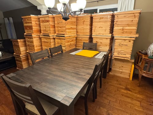 Customer photo review of BeeCastle Hives Wholesale (20 sets) BeeCastle 10 Frame Beeswax Coated Beehive 2 Deep Bee hives, 1 Medium Box With Wooden Frame And Beeswax Foundation